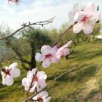 Come mai in primavera mi sento così stressato?